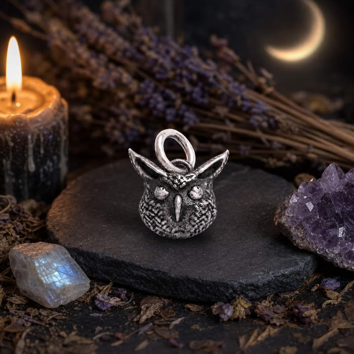 Medium Watcher of the Hollow Owl Charm